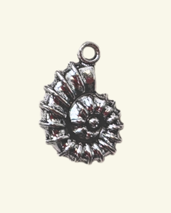 ammonite