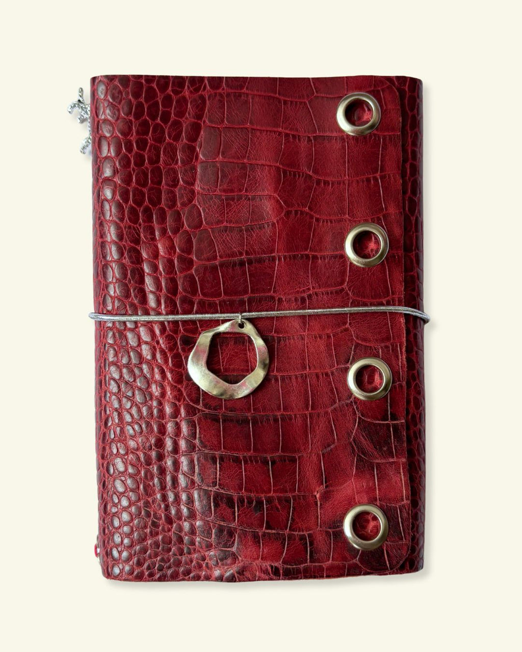 CARNET [SHINY]