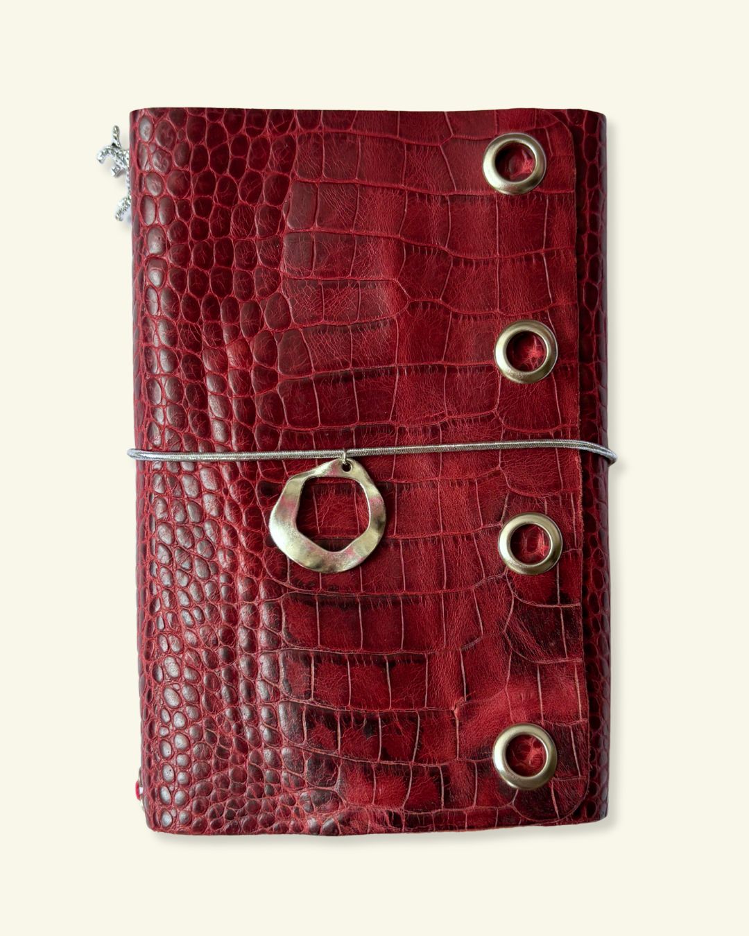 CARNET [SHINY]